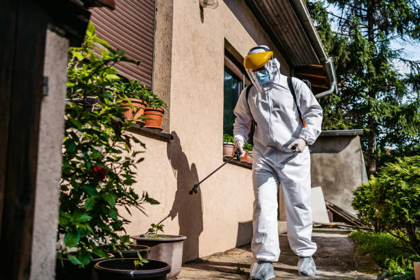 Best Best Pest Control Companies  in East Tawas, MI